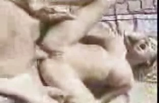 XXX Ớt đập hậu môn an toàn whores
