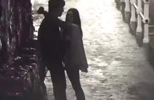 XXX Ngực Đồ lông trong rừng