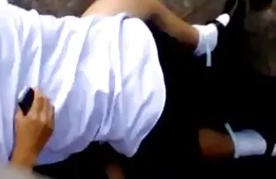 XXX Ngựa đen kéo dài đạo dày bolt