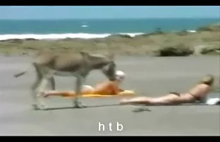 XXX Nhẹ nhàng làm tình với một cô gái tóc vàng trong sáng